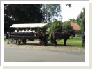 Tour durch die Rundlingsdörfer Tour durch die Rundlingsdörfer