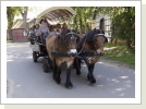 Tour zum Gallowayhof Tour zum Gallowayhof