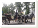 Warten auf das Brautpaar Warten auf das Brautpaar